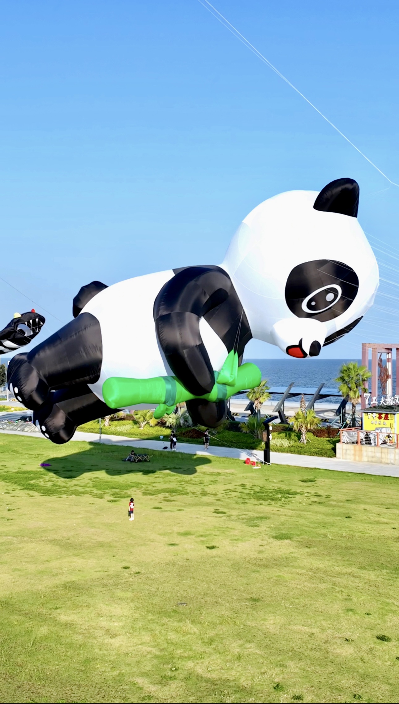 济南市宣传风筝定制风筝放飞活动策划 - 推荐
