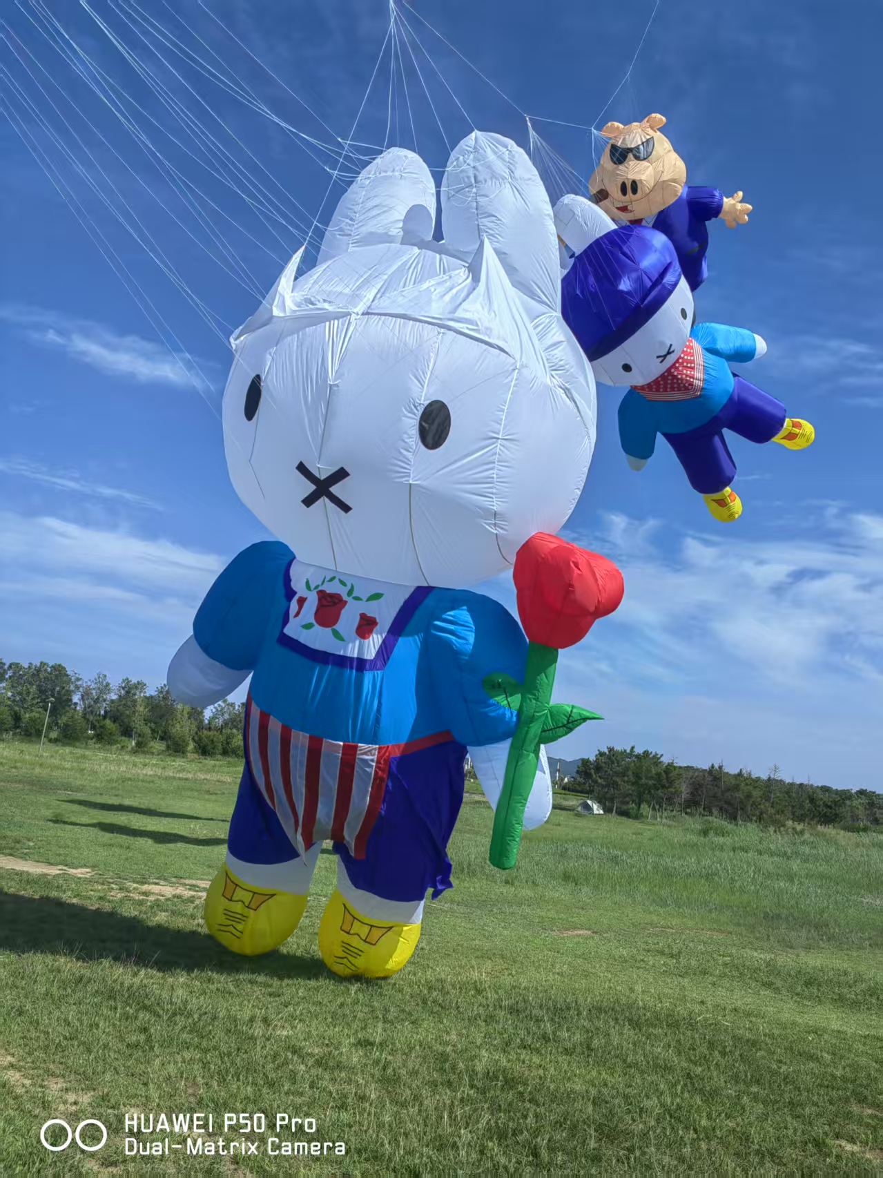 济南市儿童风筝定制宣传风筝定制 - 排名
