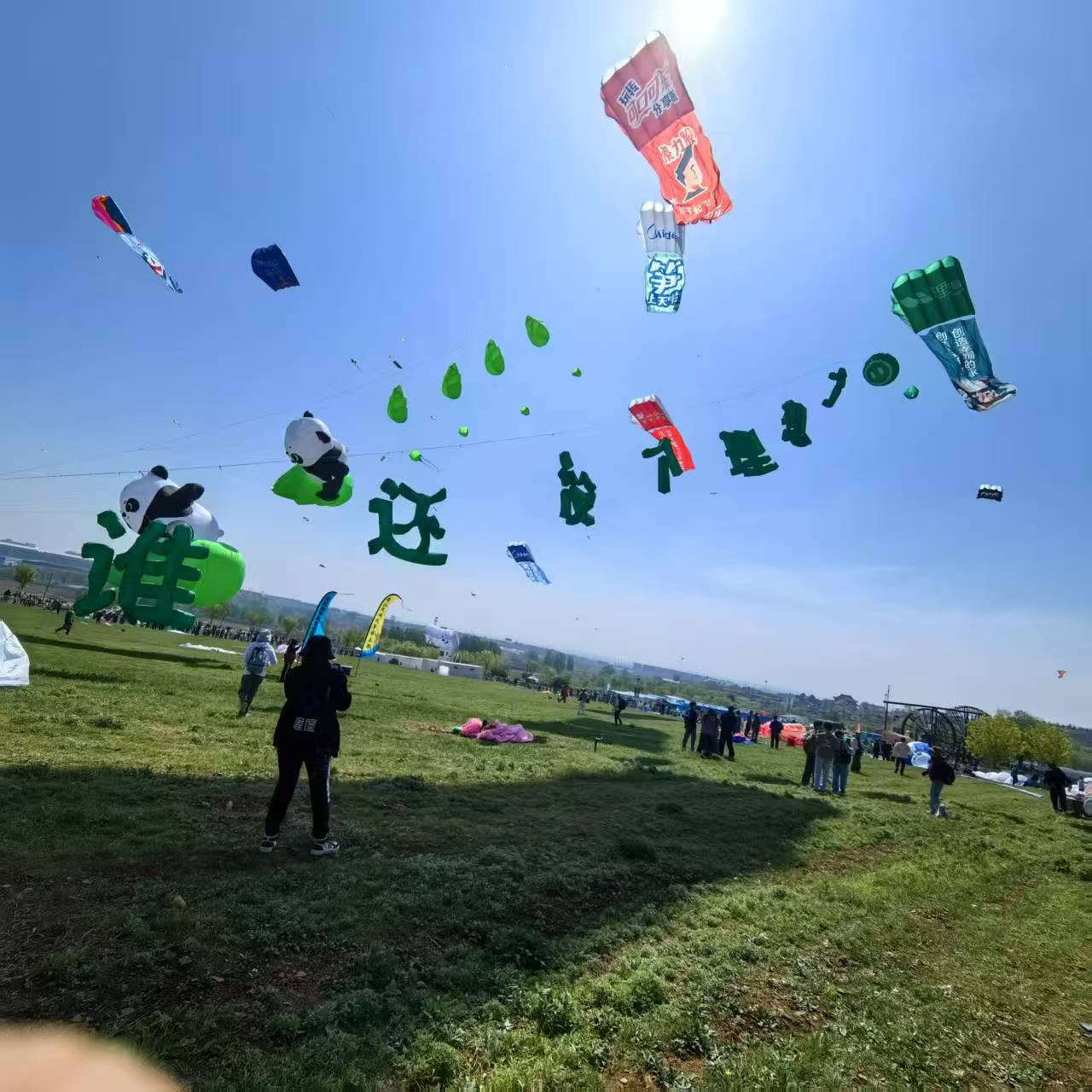 济南市软体风筝定制风筝定制 - 厂家